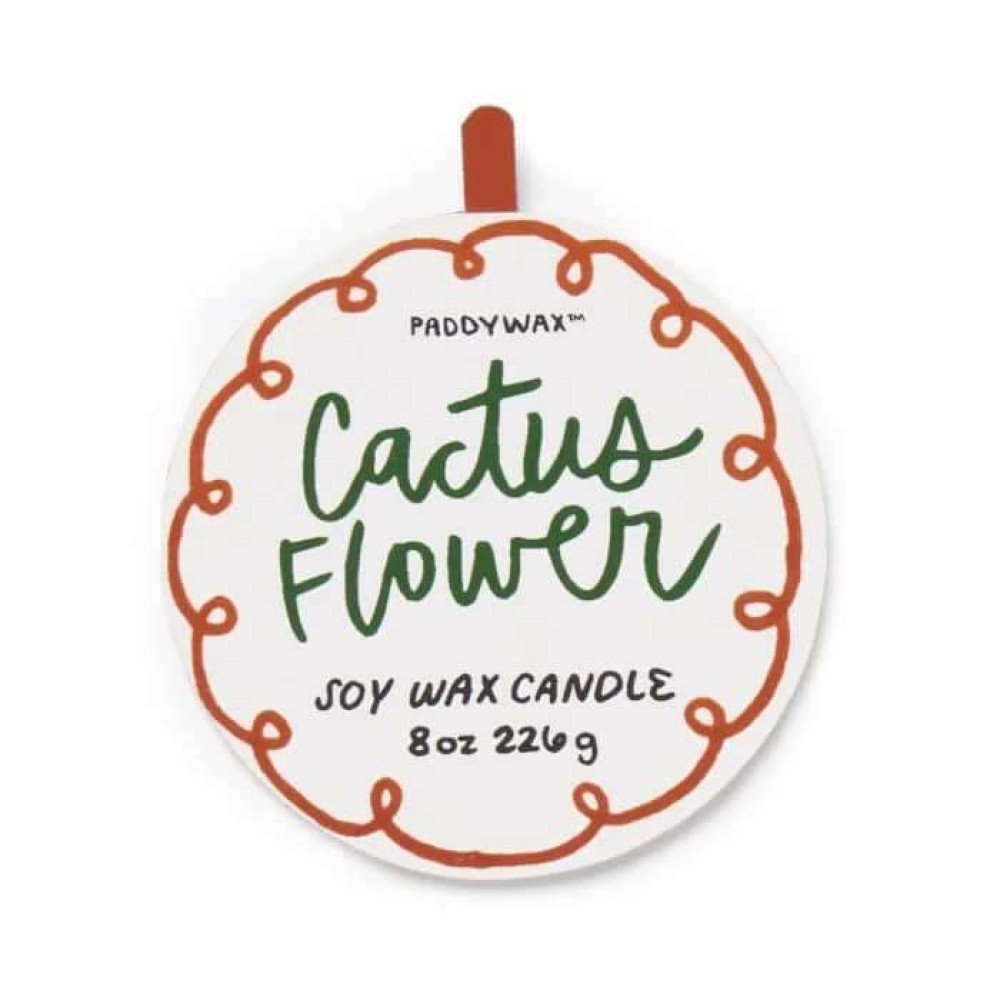 Paddywax A dopo Κεραμικό Κερί Σόγιας, Cactus Flower 226gr Flower