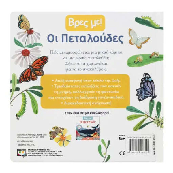 Βρες με! Οι Πεταλούδες