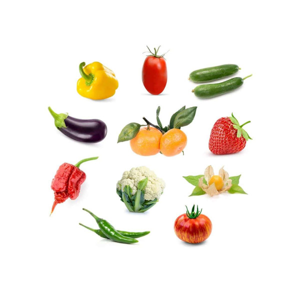 Click & Grow Συσκευασία Σπόρων με Χώμα Δίχως Σπόρους (3τμχ)