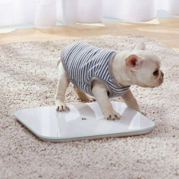 Xiaomi Ζυγαριά Μπάνιου Mi Smart Scale 2