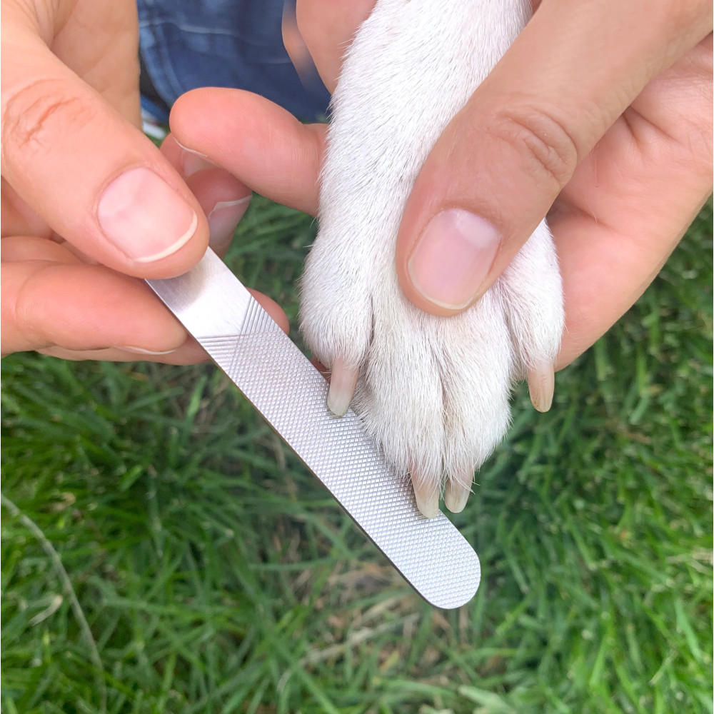 Kikkerland Kobe Dog Spa Kit