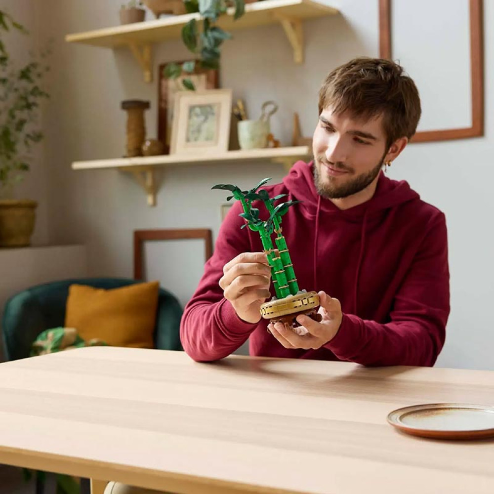 LEGO Botanical Lucky Bamboo (10344)