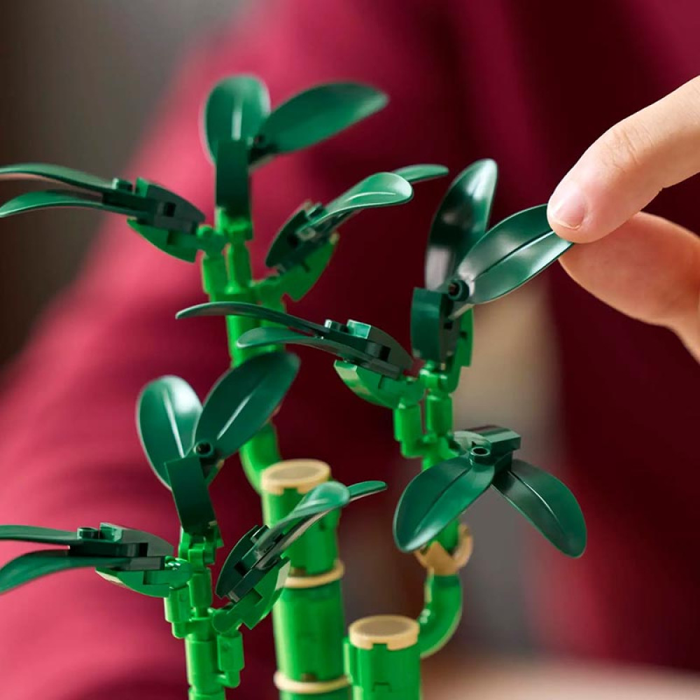 LEGO Botanical Lucky Bamboo (10344)
