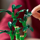 LEGO Botanical Lucky Bamboo (10344)