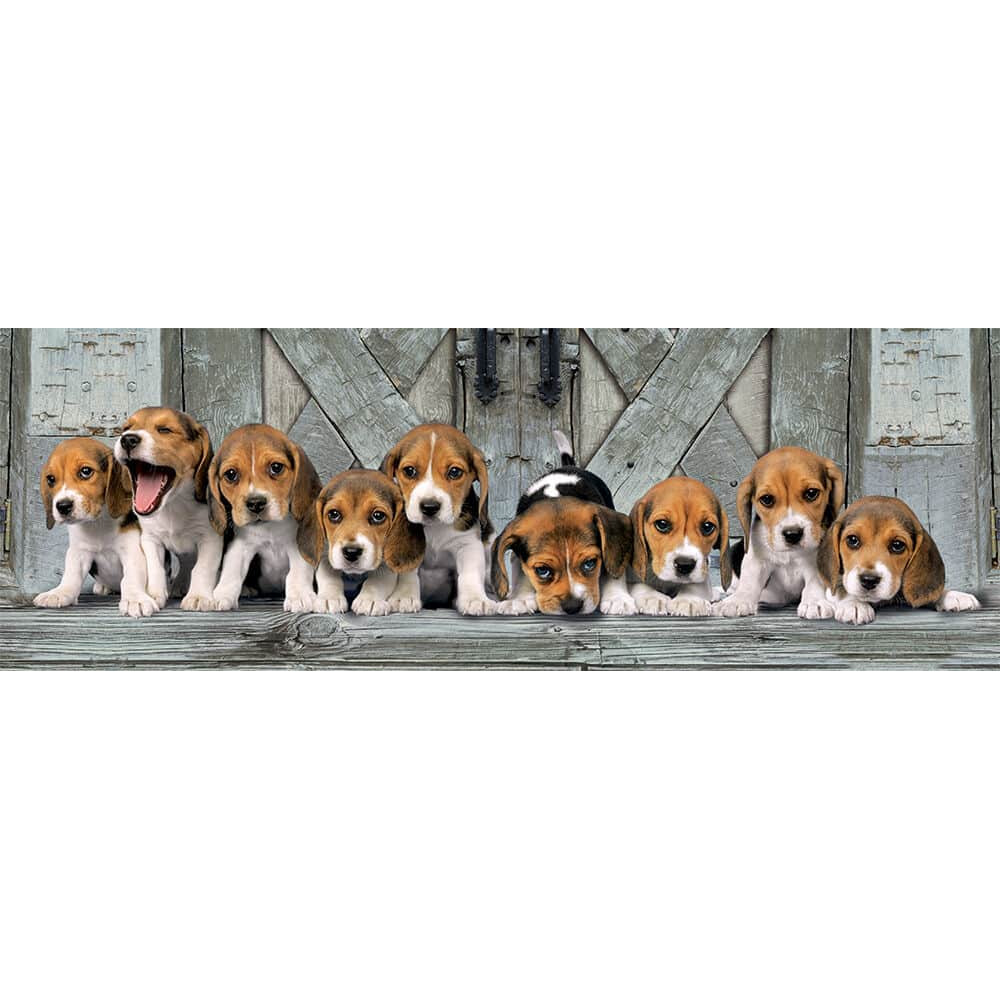 Clementoni Παζλ Panorama High Quality Collection Σκυλάκια Beagles, Compact Box (1000 τμχ)