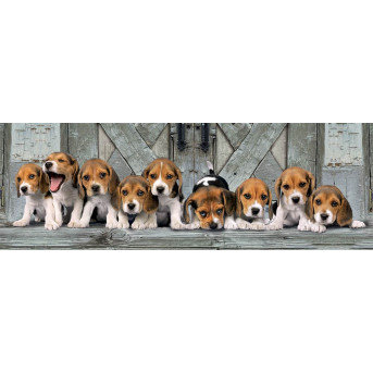 Clementoni Παζλ Panorama High Quality Collection Σκυλάκια Beagles, Compact Box (1000 τμχ)
