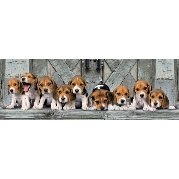 Clementoni Παζλ Panorama High Quality Collection Σκυλάκια Beagles, Compact Box (1000 τμχ)