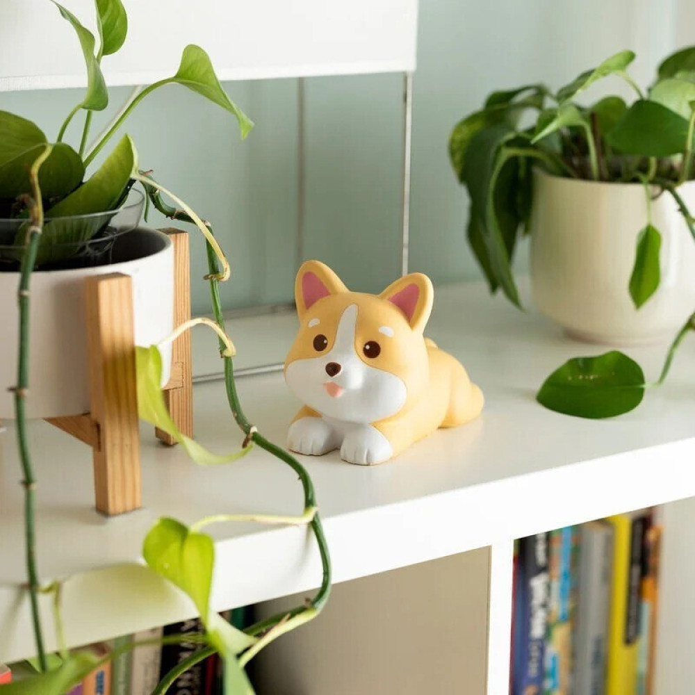 Legami VSQIF0006 Squishy Antistress Toy Corgie