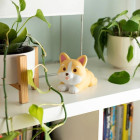 Legami VSQIF0006 Squishy Antistress Toy Corgie