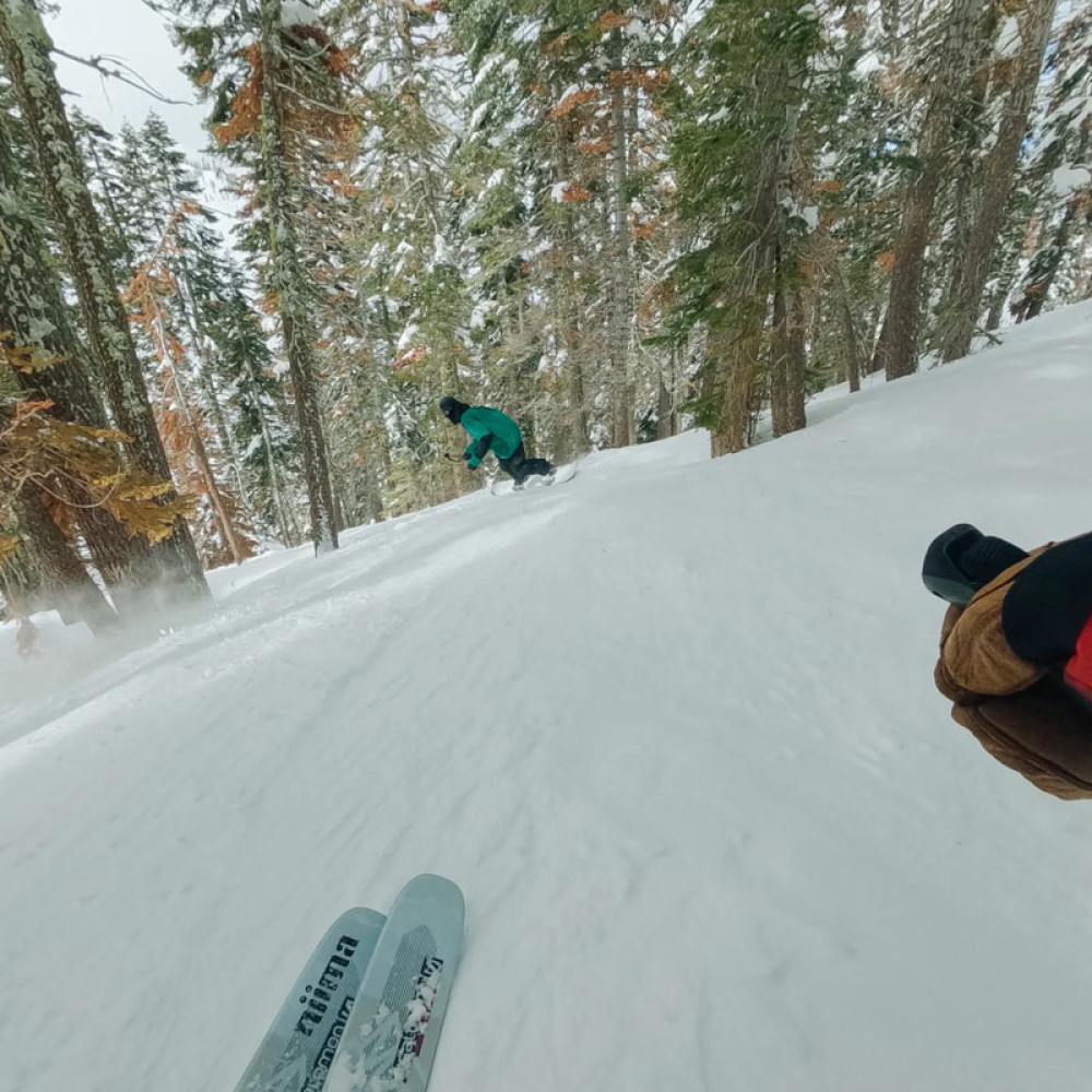 GoPro Chesty