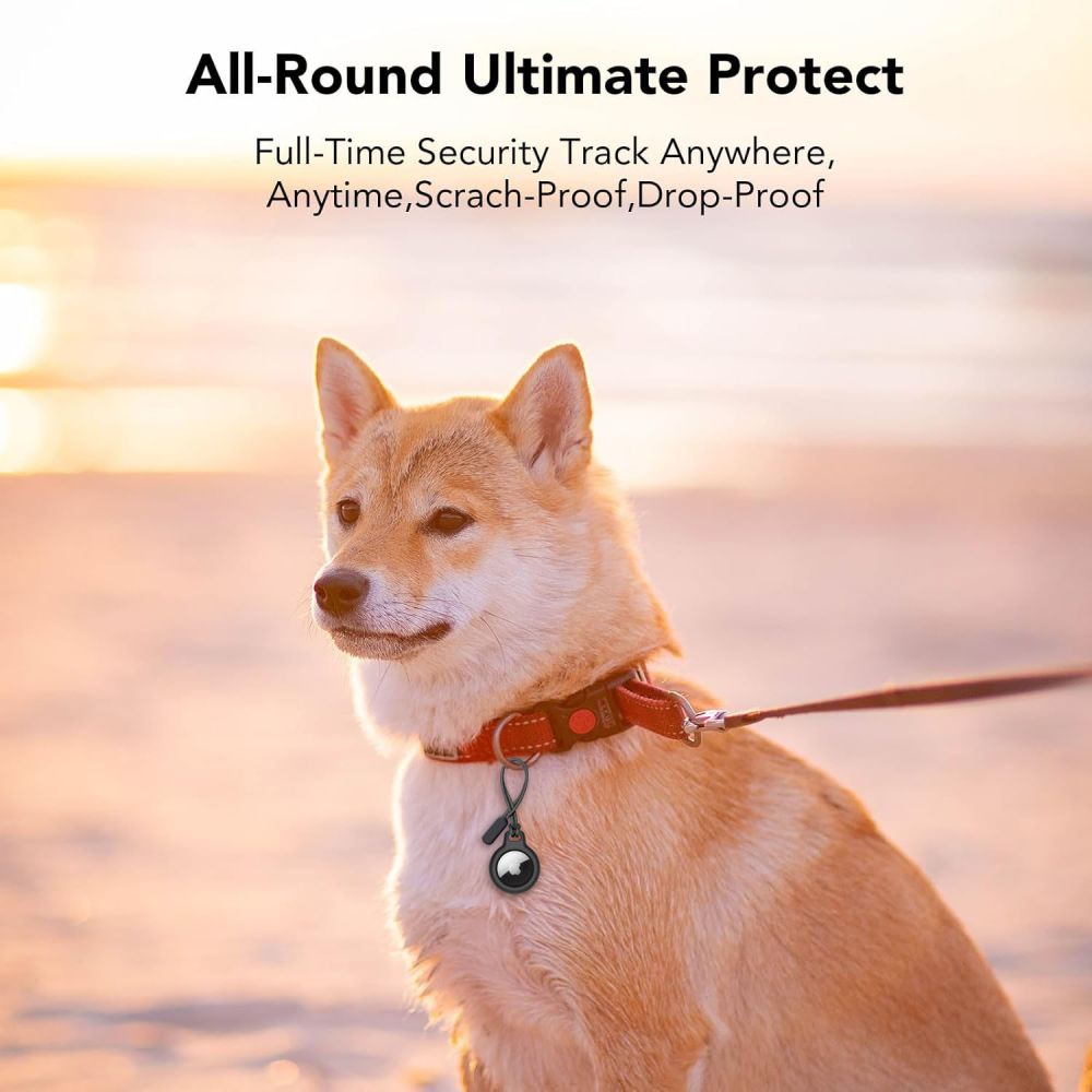 Tech-Protect Rough Chain Θήκη για Apple AirTag 2τμχ (Μαύρο)