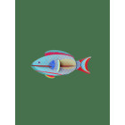 Studio Roof TTM159 Κρεμαστό Διακοσμητικό Parrotfish