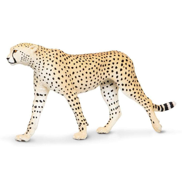Safari Μινιατούρα Cheetah