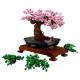 LEGO Icons Botanical Bonsai Tree (10281)