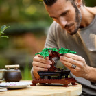 LEGO Icons Botanical Bonsai Tree (10281)