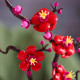 LEGO Icons Botanical Plum Blossom (10369)