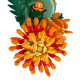 LEGO Icons Botanical Chrysanthemum (10368)