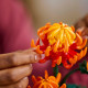 LEGO Icons Botanical Chrysanthemum (10368)