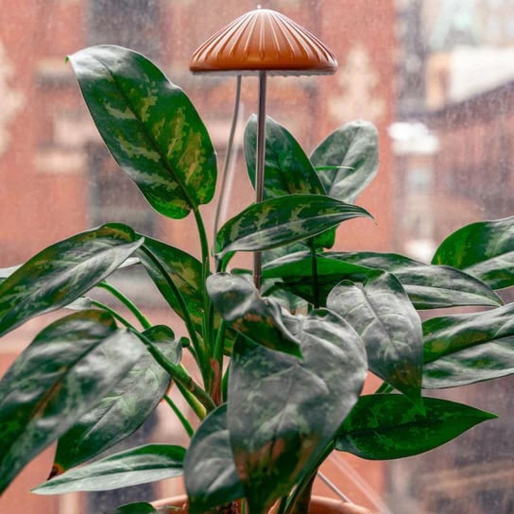Kikkerland Mushroom Grow Light Φωτιστικό για Ανάπτυξη Φυτών