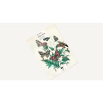 Artists’ Colouring Book - Natural History