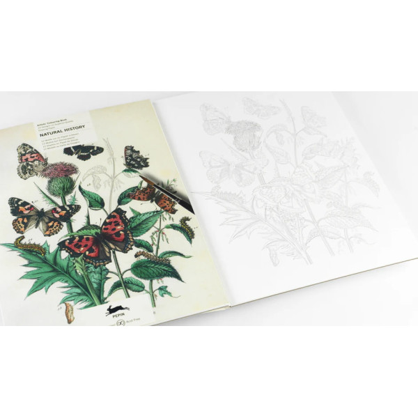 Artists’ Colouring Book - Natural History