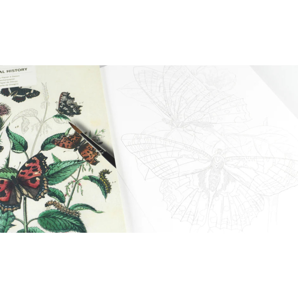 Artists’ Colouring Book - Natural History