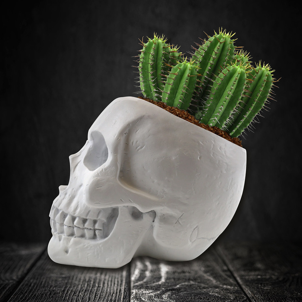 Gift Republic Κιτ με Κασπώ και Σπόρους Skull (20 x 16 x 14 cm)