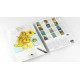 Artists’ Colouring Book - Van Gogh
