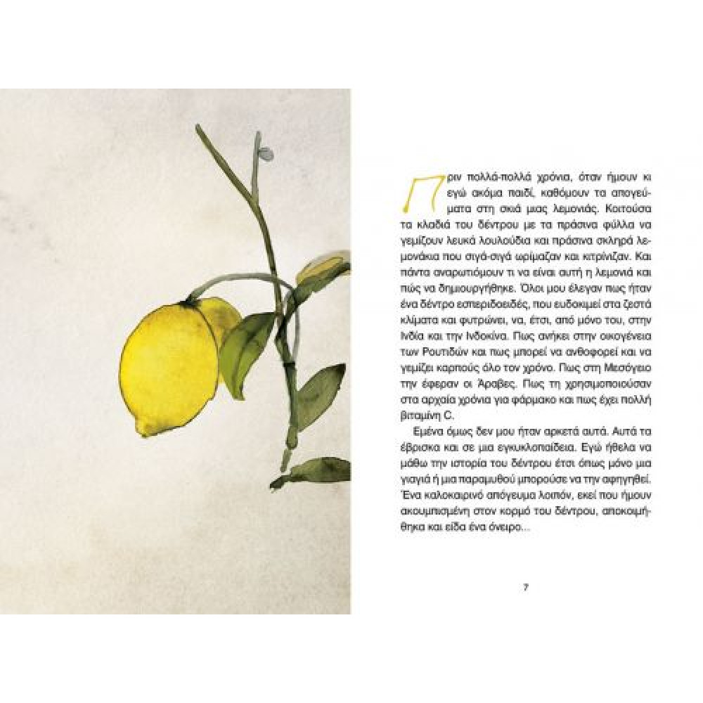 Το Mυστικό του Δέντρου