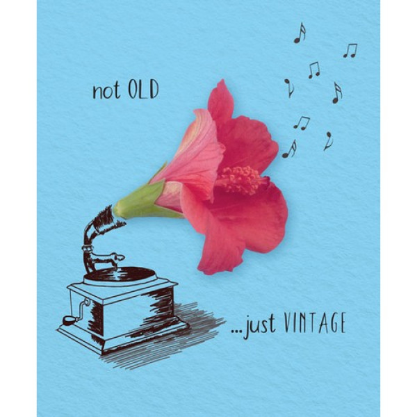 Ευχετήρια Κάρτα ZEN - Not Old Just Vintage