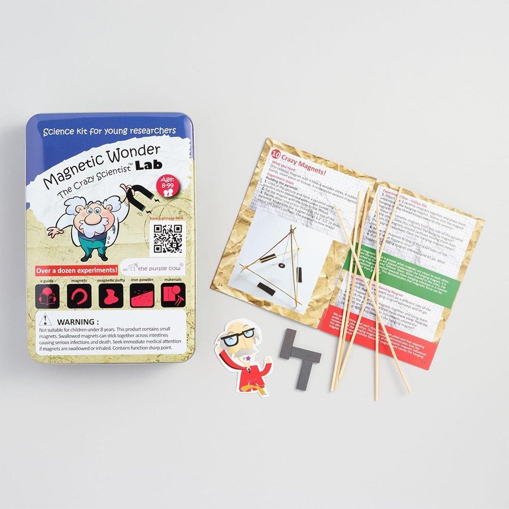 The Purple Cow Πειράματα - Εργαστήριο με Μαγνήτες