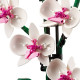 LEGO Icons Botanical Orchid (10311)