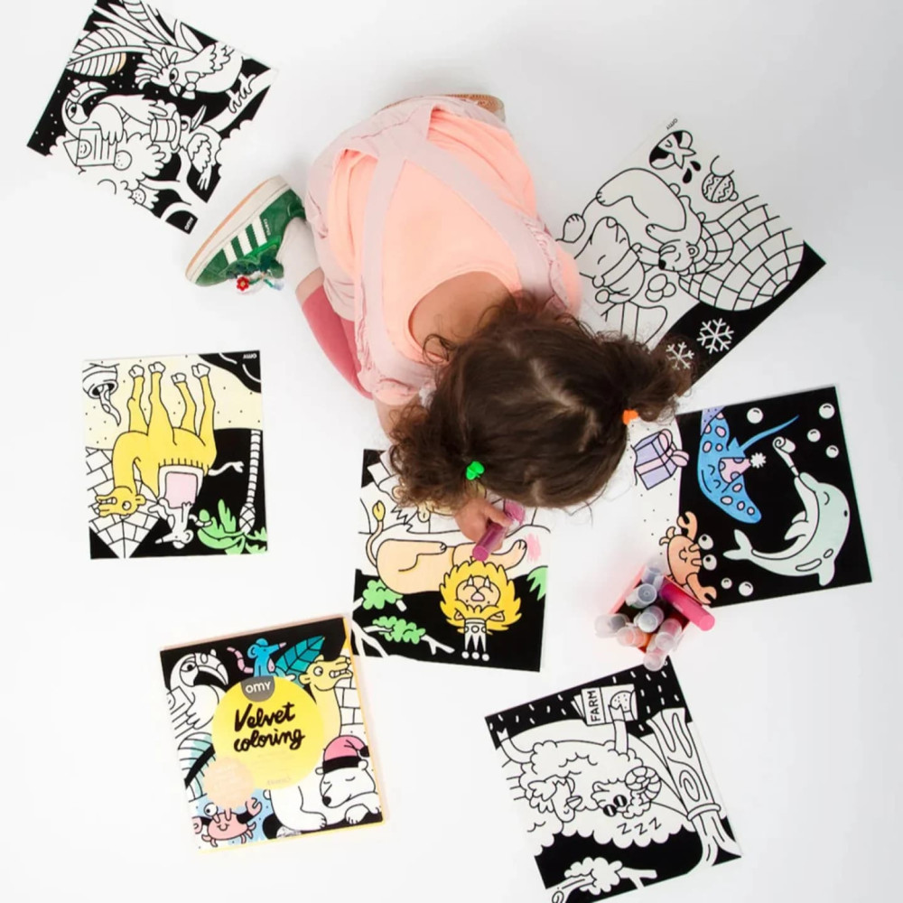 OMY Σετ Ζωγραφικής με Βελούδινο Πλαίσιο Ζωάκια