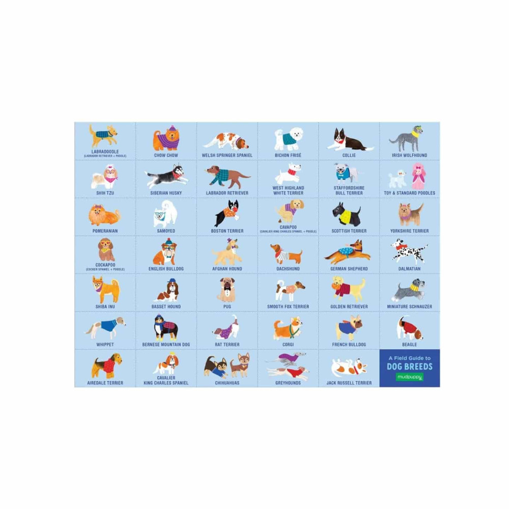 Mudpuppy Παζλ Search & Find 64 Τεμαχίων "Πάρκο Σκύλων"