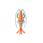 Studio Roof TTM161 Wall Art Pomelo Shrimp