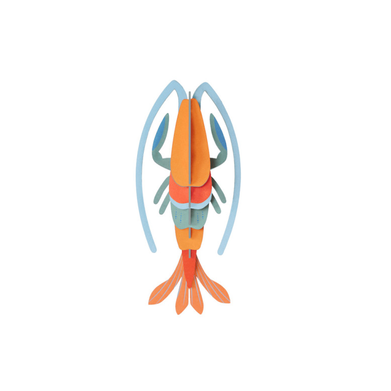 Studio Roof TTM161 Wall Art Pomelo Shrimp