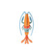 Studio Roof TTM161 Wall Art Pomelo Shrimp