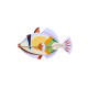 Studio Roof TTM179 Wall Art Picasso Fish
