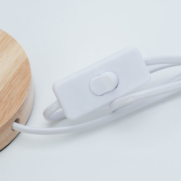 Επιτραπέζιο Διακοσμητικό Φωτιστικό Led με Πούπουλα (Κόκκινο)