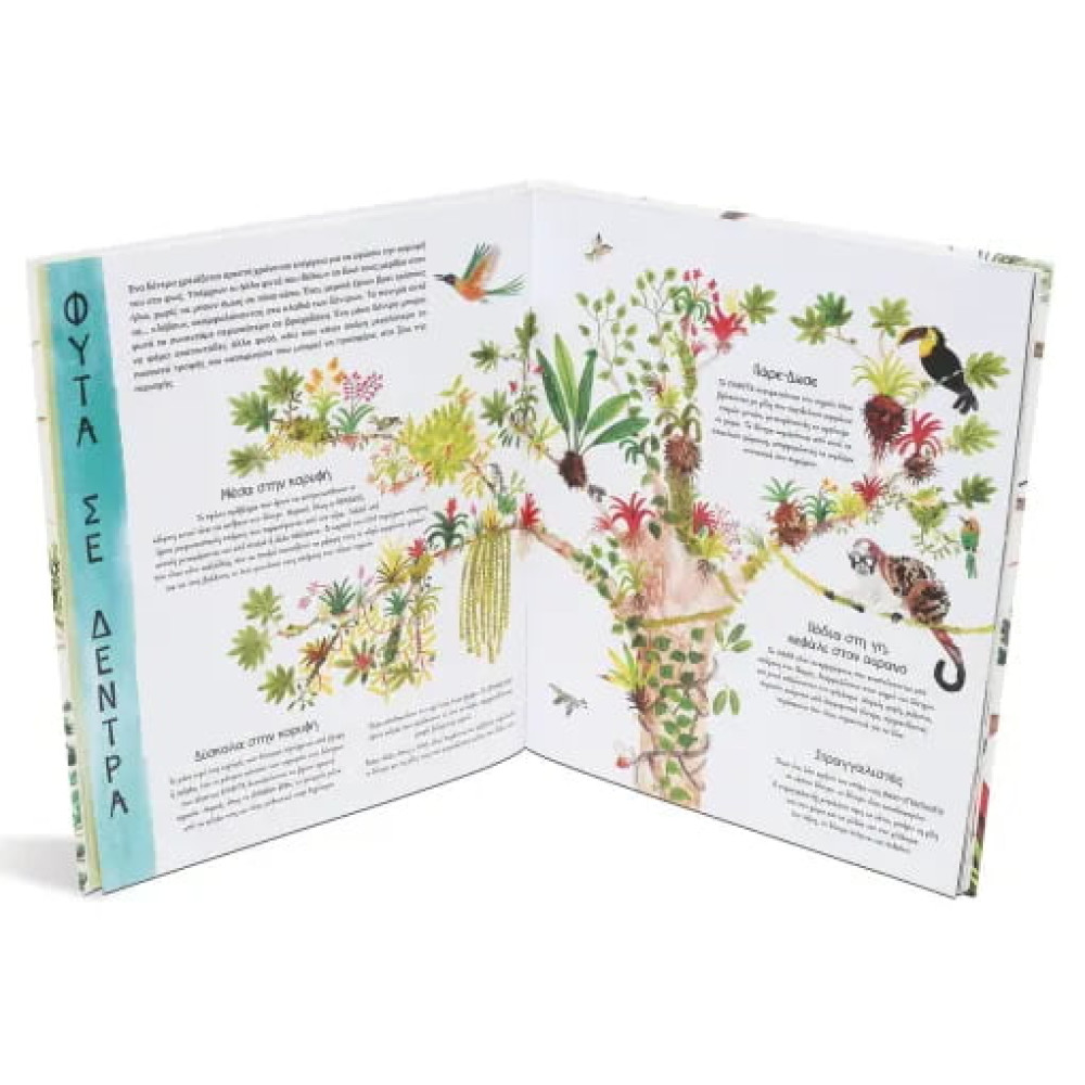 Τo Θαύμα Των Δέντρων