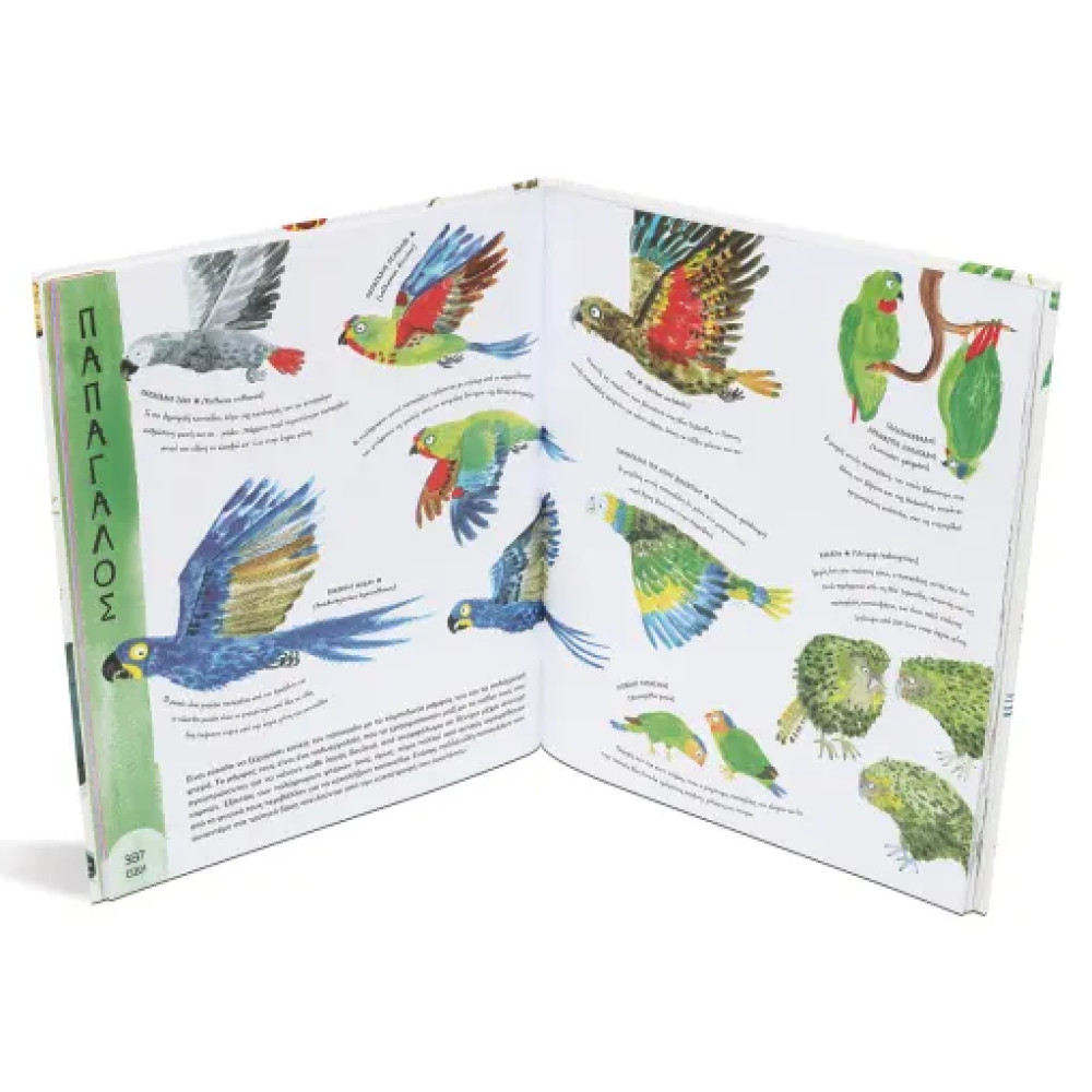 Τo Θαύμα Της Ζωής