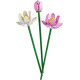 LEGO Botanical Lotus Flowers (40647)