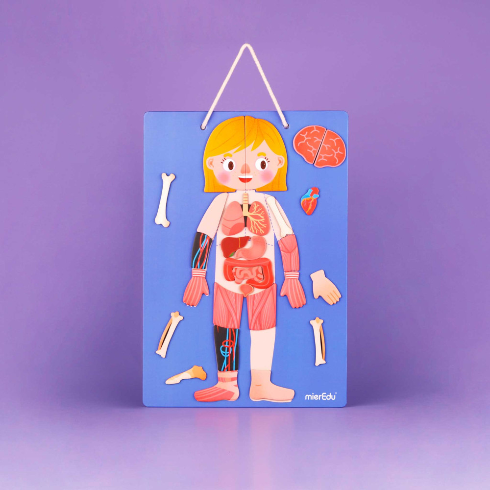 MierEdu Μαγνητικό Παζλ All About Body