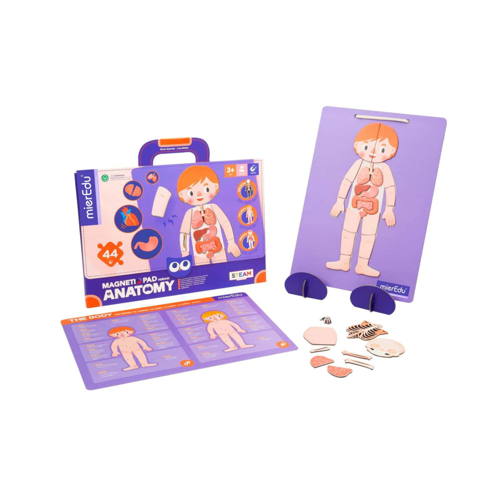 MierEdu Μαγνητικό Παζλ Anatomy
