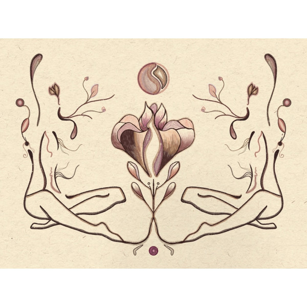 Lenio Σύνδεση