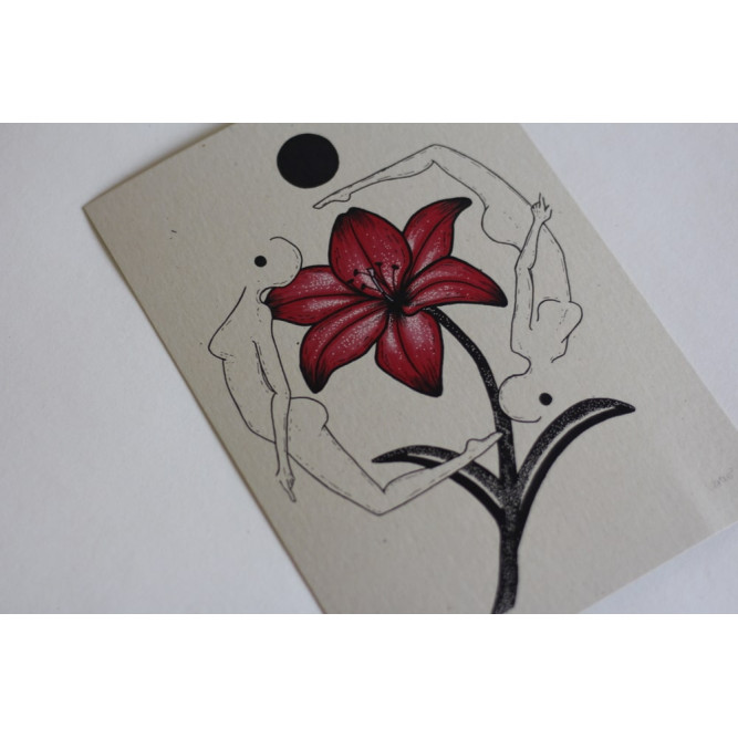 Lenio Lillies