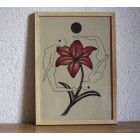 Lenio Lillies