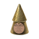 Paddywax Cypress & Fir Γυάλινο Κερί 198gr σε Χρυσό Δεντράκι