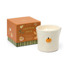 Paddywax Bistro Pumpkin Φυτικό Κερί 226gr σε Κεραμικό Δοχείο - Pumpkin Spice
