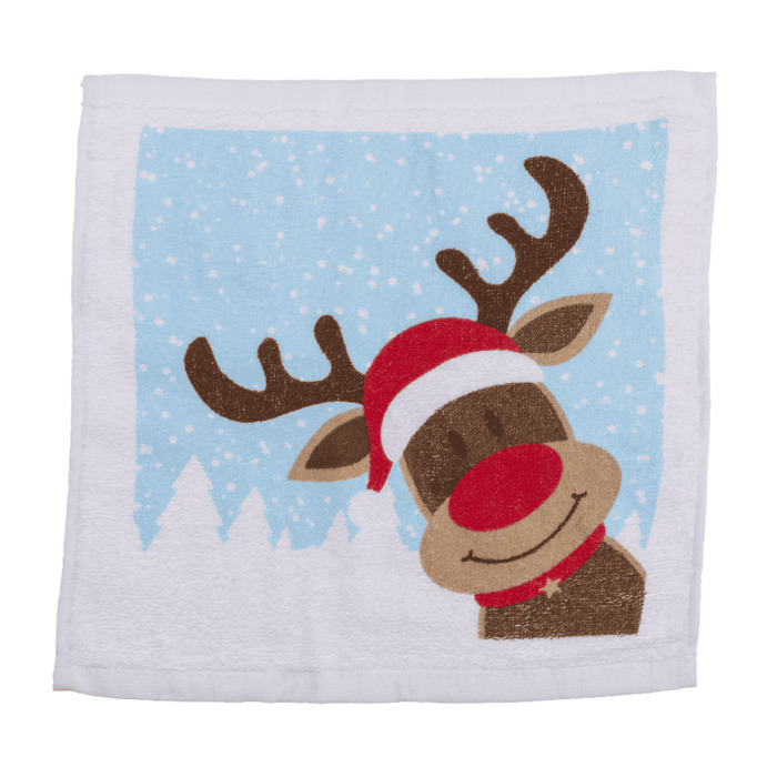 Χριστουγεννιάτικη Πετσέτα Magic Towel (30 x 30 cm)
